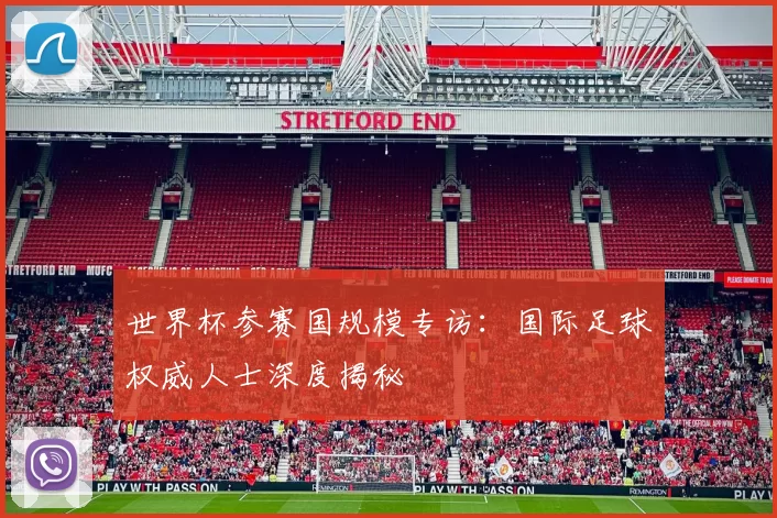 世界杯参赛国规模专访：国际足球权威人士深度揭秘