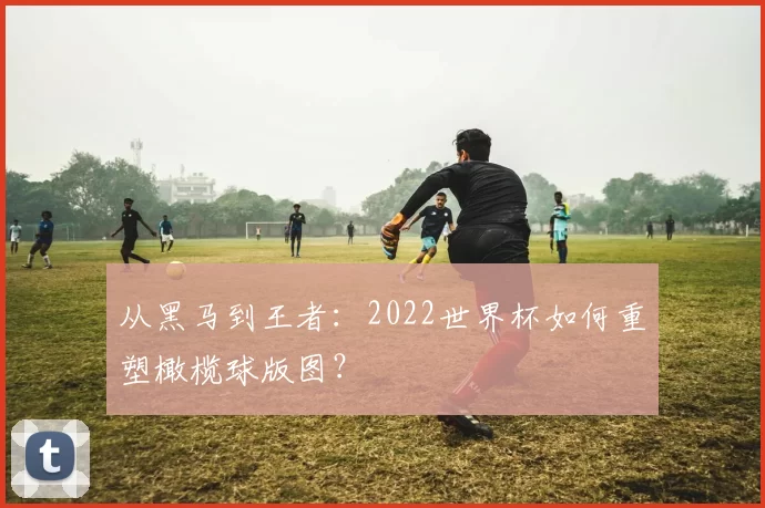 从黑马到王者：2022世界杯如何重塑橄榄球版图？