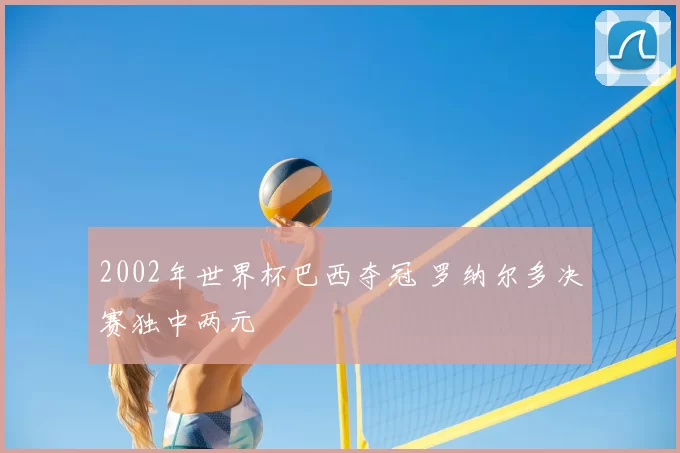 2002年世界杯巴西夺冠 罗纳尔多决赛独中两元