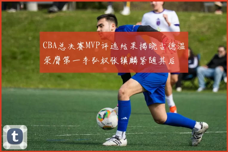 CBA总决赛MVP评选结果揭晓古德温荣膺第一李弘权张镇麟紧随其后