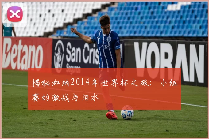揭秘加纳2014年世界杯之旅:小组赛的激战与泪水