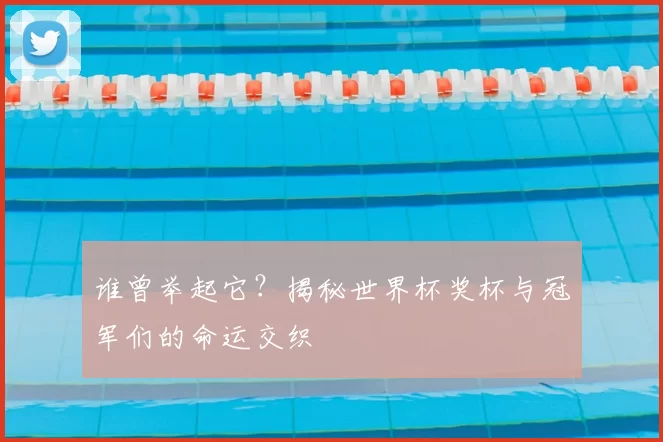 谁曾举起它？揭秘世界杯奖杯与冠军们的命运交织